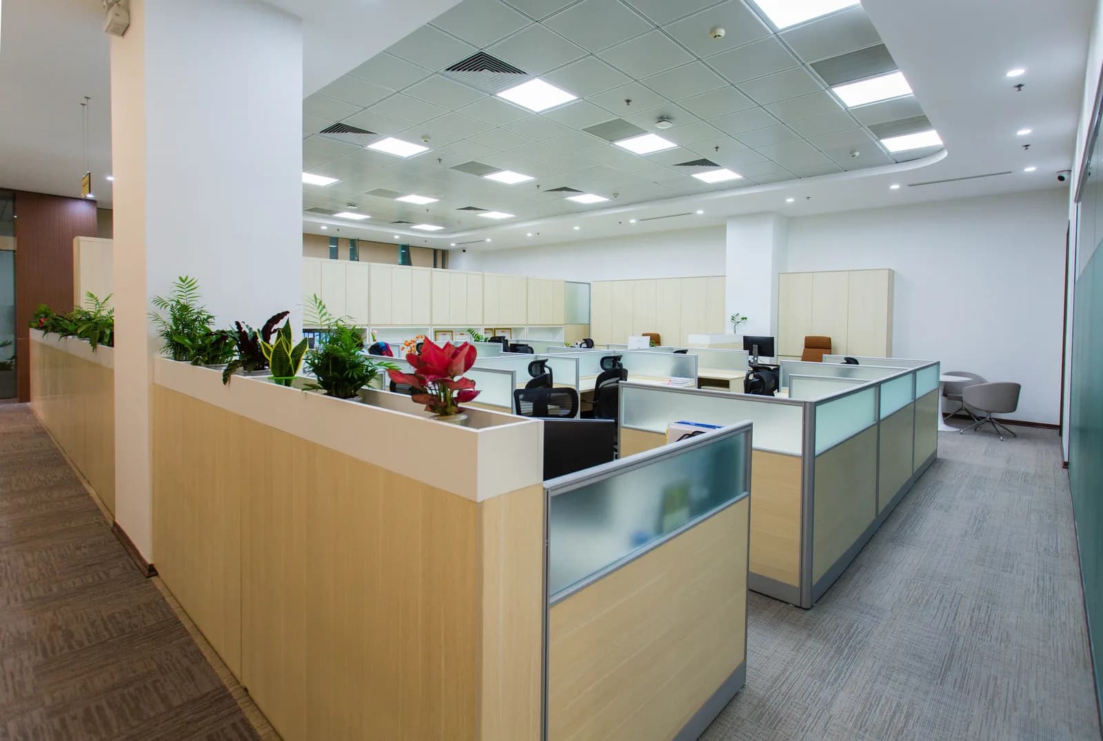 Modern open-plan office interior